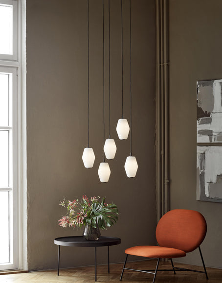 Dahl small group with Oblong Stilk Fyr photo Chris Tonnesen