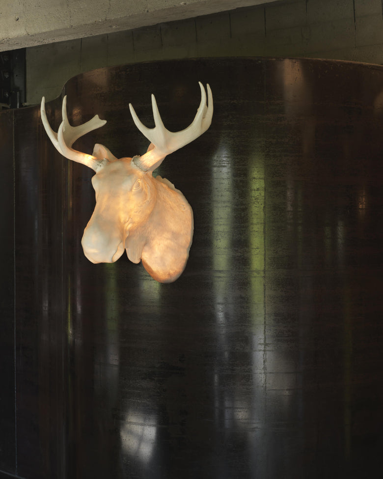 Moo wall lamp