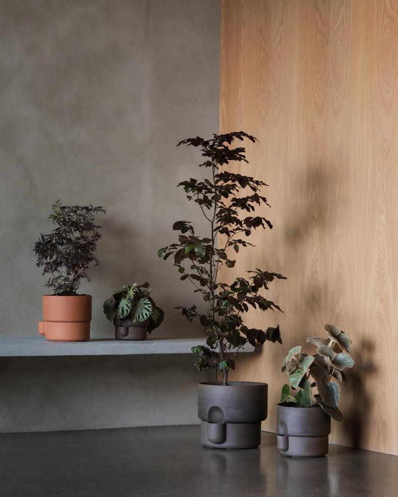 Oasis brown terracotta group corner Photo Einar Aslaksen