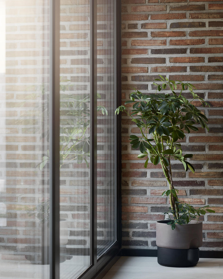 Oasis large black tree Photo Chris Tonnesen