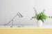 Birdy table lamp