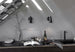 Birdy wall lamp