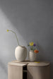 Brim vase