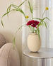 Brim vase