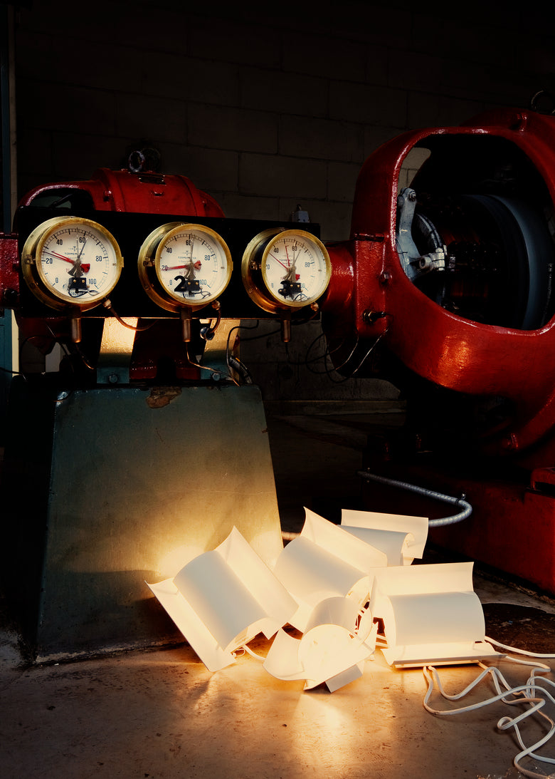 Butterfly pile Photo Tom Gustavsen