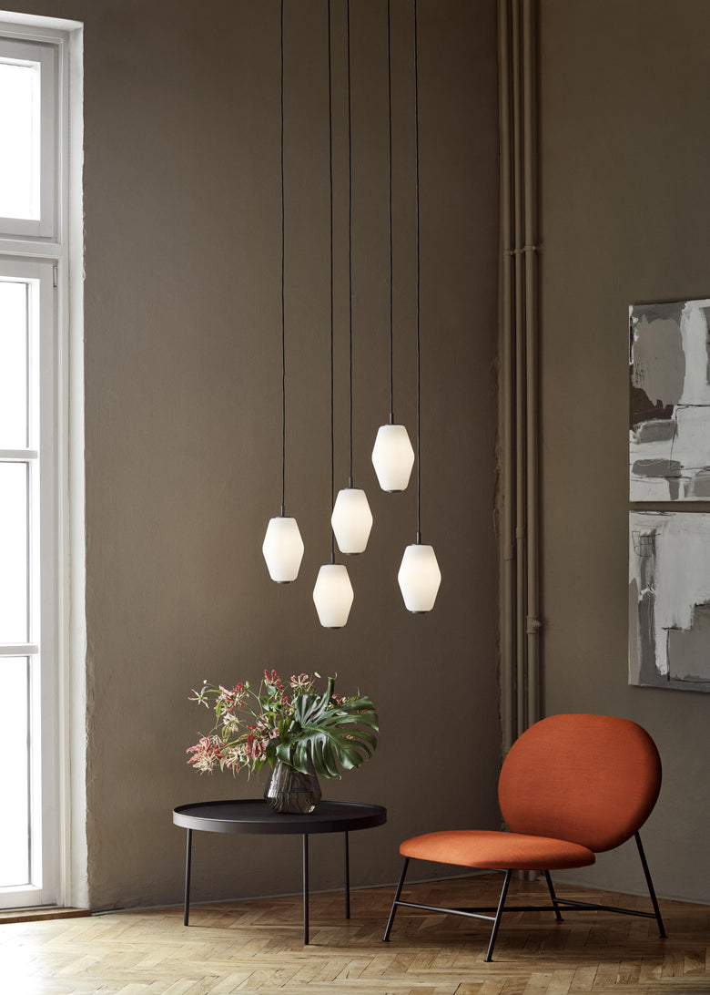 Dahl small group with Oblong Stilk Fyr photo Chris Tonnesen