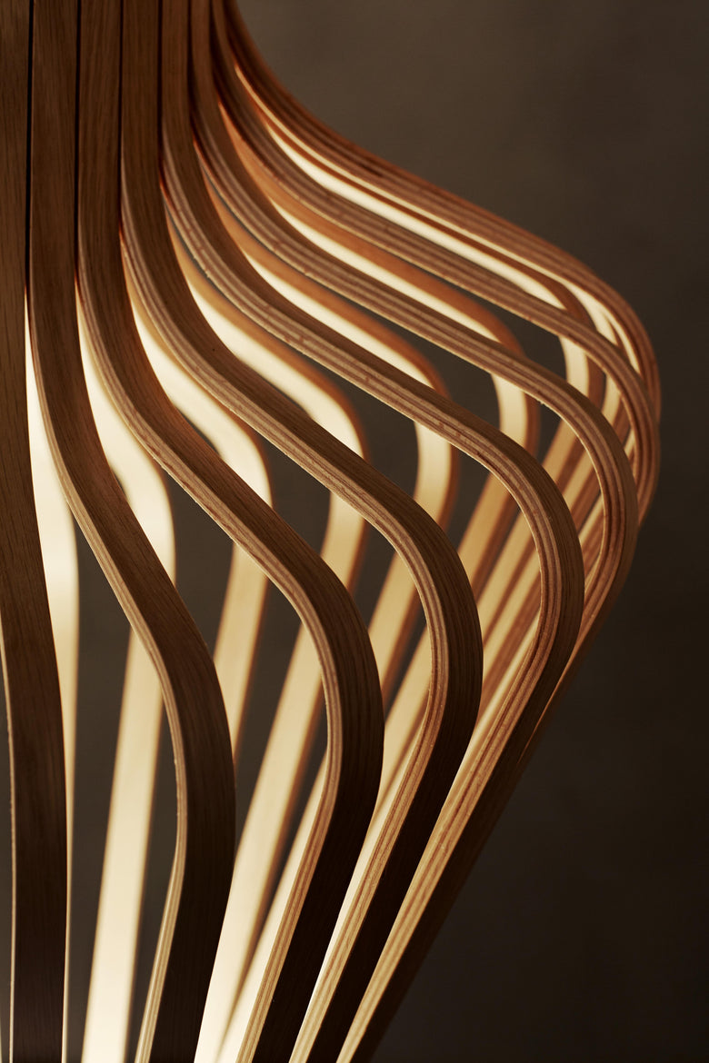 Diva oakcloseup-Highres Photo ColinEick