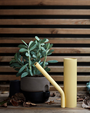 Grab light yellow outside Photo Chris Tonnesen