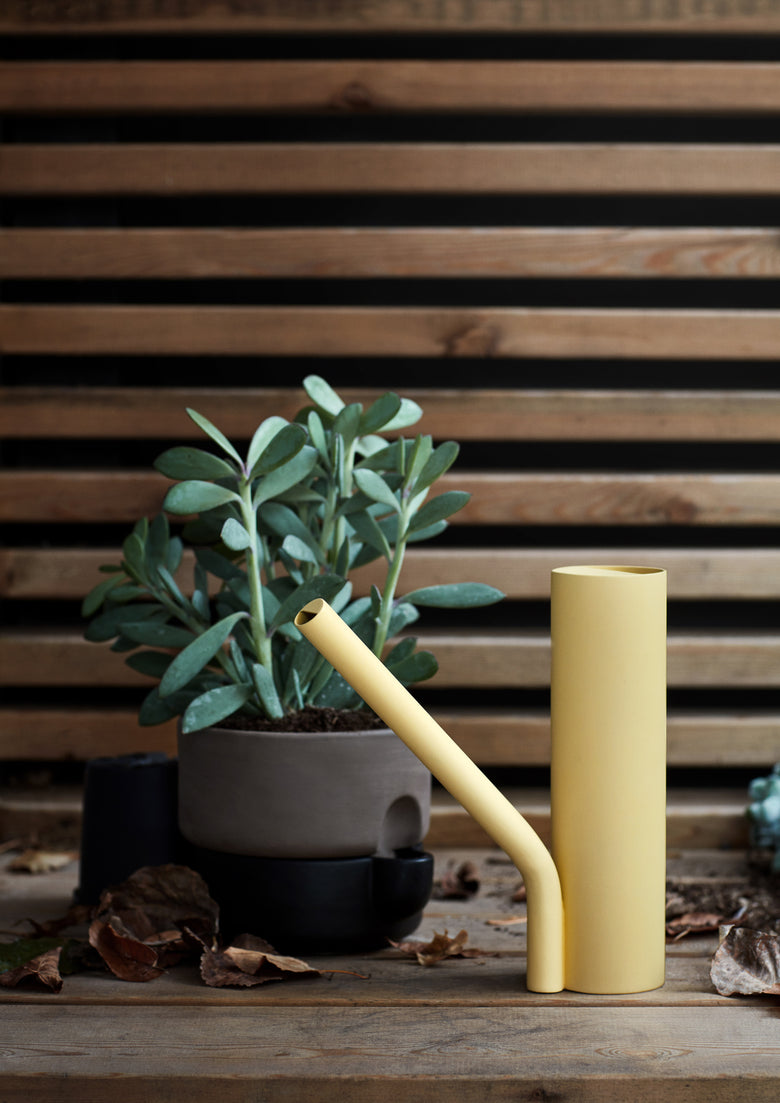 Grab light yellow outside Photo Chris Tonnesen