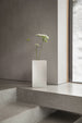 Into vase