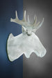 Moo wall lamp