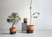 Oasis flowerpot small