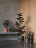 Oasis brown terracotta group corner Photo Einar Aslaksen