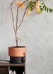 Oasis flowerpot large