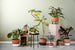 Oasis flowerpot small