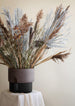 Oasis large black straw Photo Chris Tonnesen
