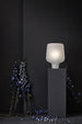 Say My Name white table photo Chris Tonnesen scaled